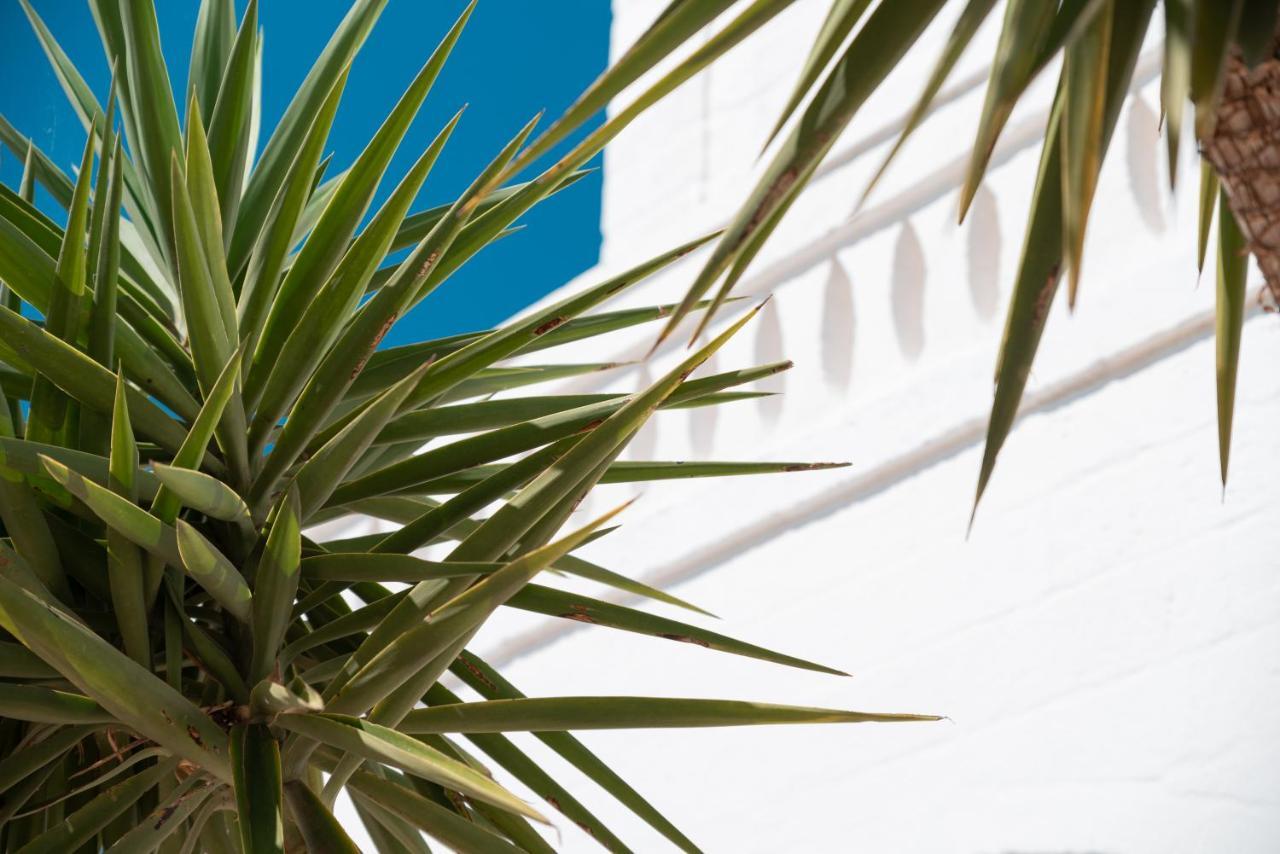 Masseria Donna Nina Ostuni Εξωτερικό φωτογραφία